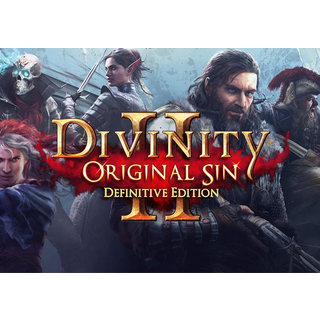 Divinity: Original Sin 2 - Definitive Edition (PC) GOG.com Key - GLOBAL