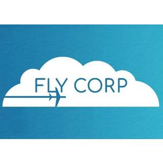 Fly Corp (PC) Steam Key - GLOBAL