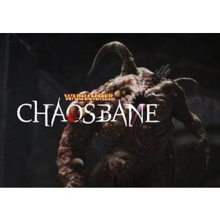 Warhammer: Chaosbane Deluxe Edition Steam Key GLOBAL