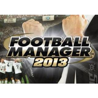 Football Manager 2013 (PC) Steam Key - GLOBAL