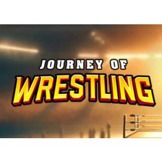 Journey of Wrestling (PC) Steam Account - GLOBAL