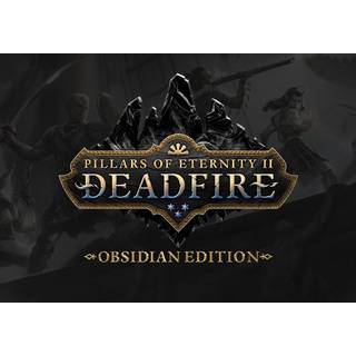 Pillars of Eternity II: Deadfire - Obsidian Edition (PC) Steam Key - GLOBAL
