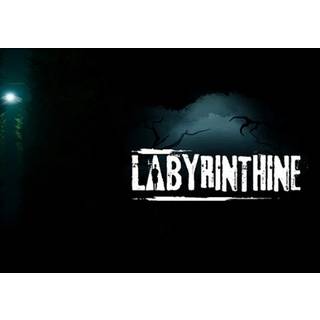 Labyrinthine (PC) Steam Key - EU