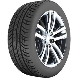 Bridgestone Blizzak 6 ( 255/40 R21 102W XL Enliten / EV )