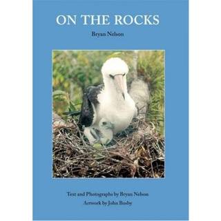 On the Rocks (4, 2013) | Bryan Nelson