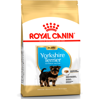 Yorkshire Terrier Puppy 1,5 kg
