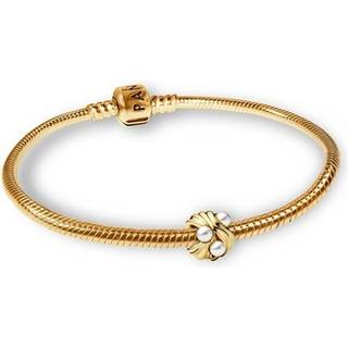 Pandora 28915 Damenarmband Geschenkset Abstrakte Wellen Goldfarben
