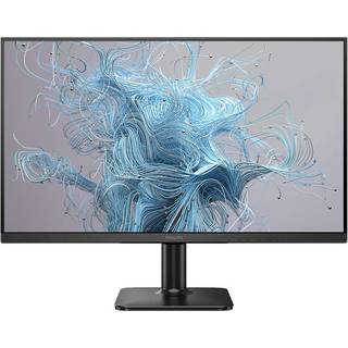 PHILIPS 2N1100Lb/00 Computer Monitor