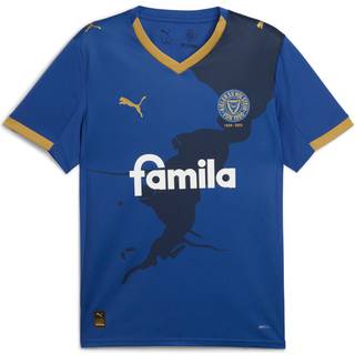 PUMA Holstein Kiel 25/26 Home Jersey Men, Sport, Clyde Royal/Gold, L