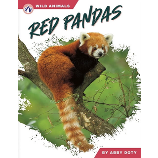 Red Pandas