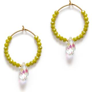 ANNI LU Cosmic Cactus Hoop Pale Øreringe 18 kt. Forgyldt Messing 252-30-41 - Dame - Brass