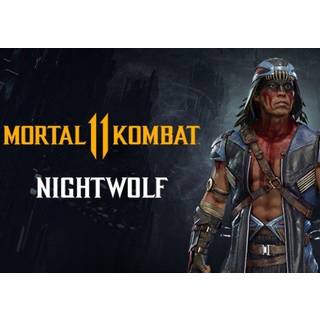 Mortal Kombat 11 Nightwolf (DLC) (PC) Steam Key - GLOBAL