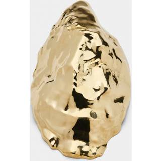 Oyster Bottle Opener Brass