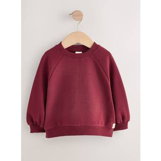 Next Crew Sweatshirt (3mdr.-7år)