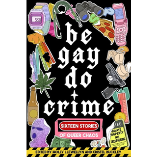 Be Gay, Do Crime