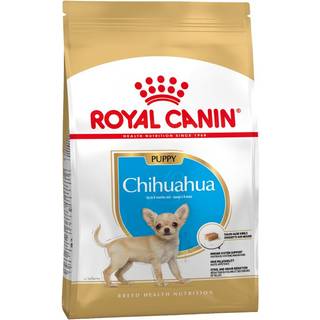 Puppy Chihuahua 1,5 kg