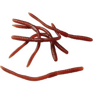 Eklige Regenwürmer 12 Stück