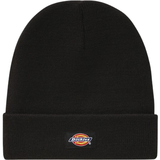 Dickies Gibsland Hue Sort