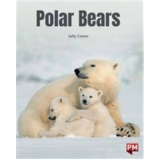 Polar Bears