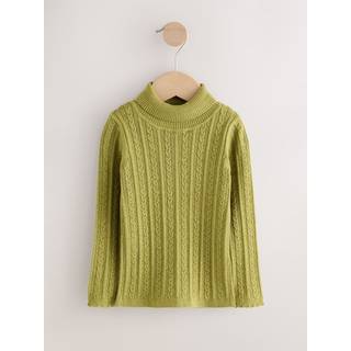 Next Green Roll Neck Jumper (3mths-10yrs)