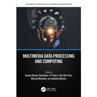 Multimedia Data Processing and Computing (4, 2025) |