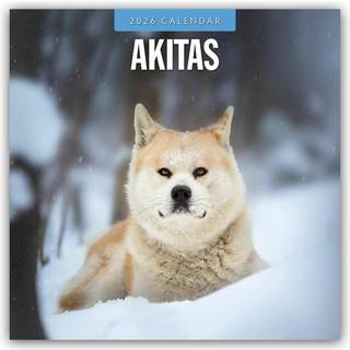 Akitas 2026 Square Wall Calendar