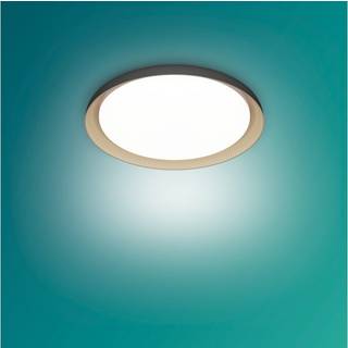 Philips Pebblo SceneSwitch Plafond 10W 2700K i sort Ø320 mm