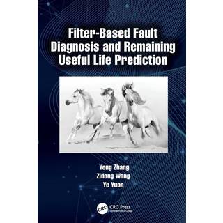 Filter-Based Fault Diagnosis and Remaining Useful Life Prediction