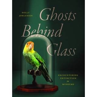 Ghosts Behind Glass