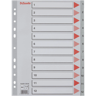 Esselte Register PP A4 1-12 grå