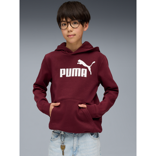 PUMA ESS No. 1 Logo Fleece Hoodie Youth, Clothing, Ruby Shimmer, 15-16Y