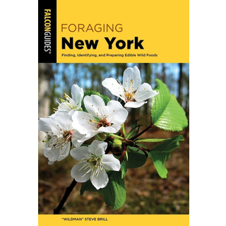 Foraging New York
