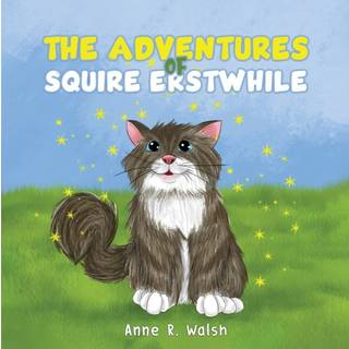 The Adventures of Squire Erstwhile