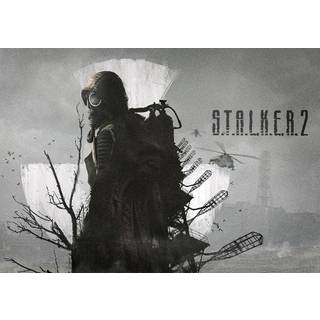 S.T.A.L.K.E.R. 2: Heart of Chornobyl (PC) Steam Key - GLOBAL