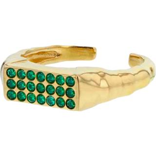 Hasla Bedazzeled Ring 18 kt. Forgyldt Sølv 2981G06-Stor - Dame - 925 Sterling Silver