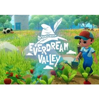 Everdream Valley (PC) Steam Account - GLOBAL