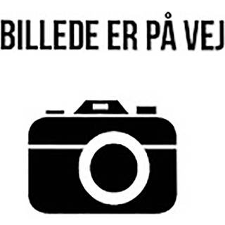 Trotec PAE 49/50 luftfilter