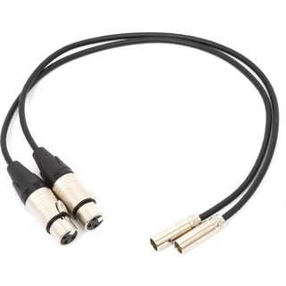 Mini XLR - XLR, 2x