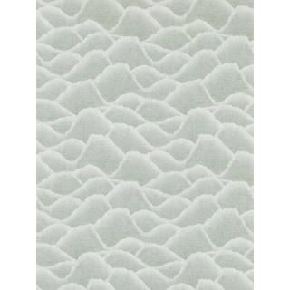 Zuni Aloe - HDMW113308