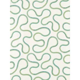 Bimble Evergreen - NSCW113248