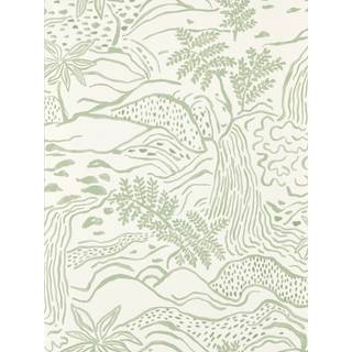 Falling Foss Sage - NSCW113267