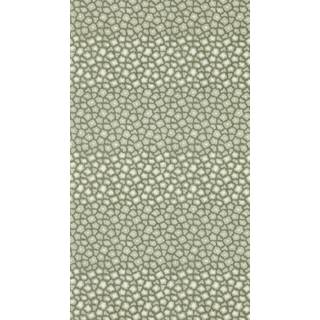 Loam Evergreen - HDMW113296