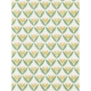 Tulip Trellis Honey - NSCW113256