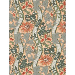 Cornflower Russet/Teal - MUNW217581