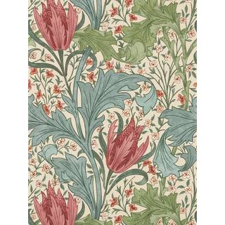 Lent Lily Plum/Bayleaf - MUNW217596