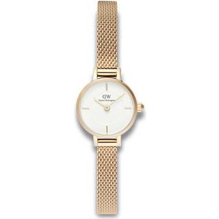 Daniel Wellington Petite Mini Evergold DW00100745