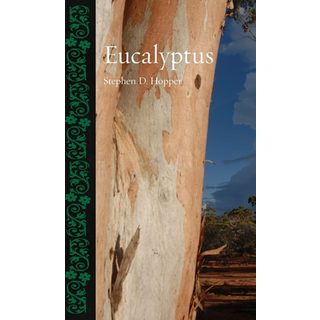 Eucalyptus