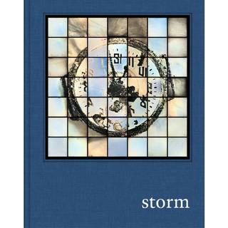 Prix Pictet: Storm