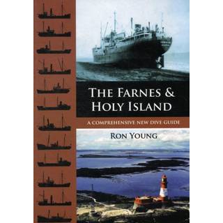 The Farnes and Holy Island