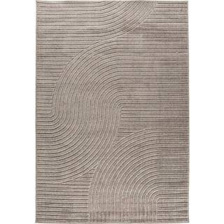 Vince rektangulært tæppe 340x240 cm brun